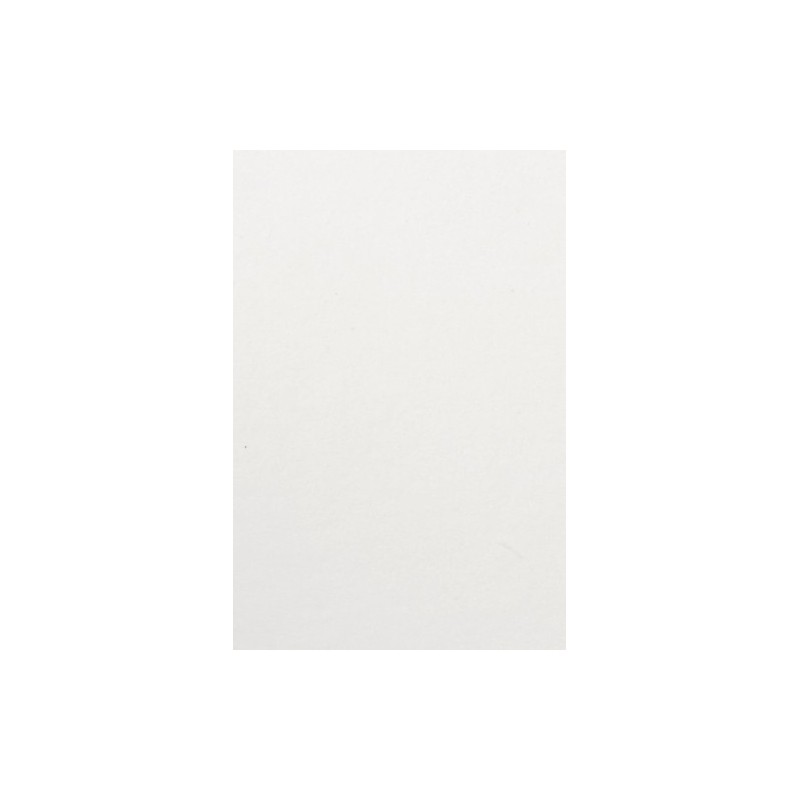 TCB183261000000-BOLSA PAPEL TV CEL. 18x29 BLANCO P/25 precio por 1 unidades